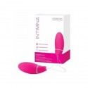 Intimina Kegel Smart