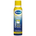 scholl desodorante