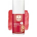 Weleda Desodorante Roll-On 24h de Granada 50ml