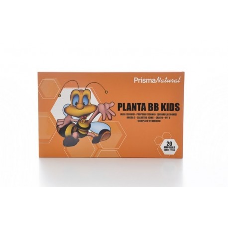 planta bb kids