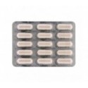 Oenobiol Captador 3 en 1 60 Cápsulas