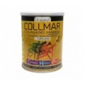 Drasanvi Collmar® magnesio cúrcuma limón 300g