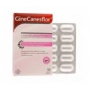 GineCanesflor 10cáps