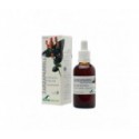 Soria Natural Zarzaparrilla Extracto 50ml