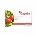 Fitotablet gayuba 60comp