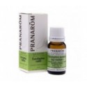 Pranar&ocirc;m aceite esencial de eucalipto radiata 10ml