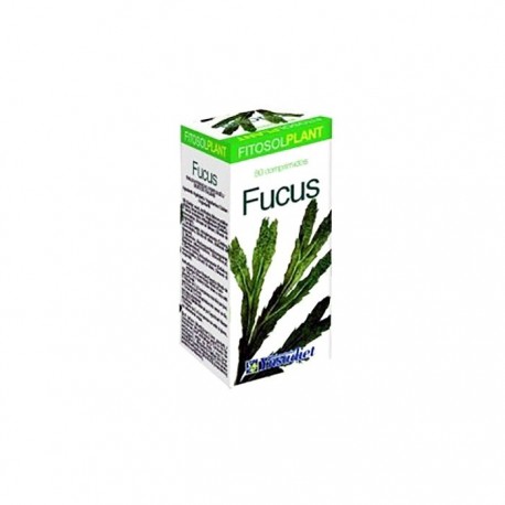 Ynsadiet Fucus 80comp