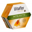 vitaflor intelecto 200 ml x 20 ampollas
