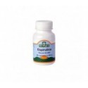 Sotya Espirulina 400mg 100comp