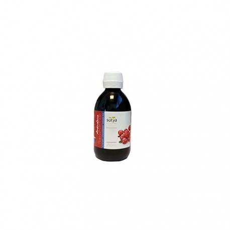 Sotya Arándano Rojo Concentrado 250ml