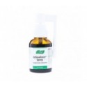 Echinaforce® spray 30ml