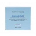 Skinceuticals daily moisture 50ml