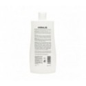 Sesderma Hidraloe champú 400ml