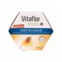 vitaflor defensas 200 ml x 20 ampollas