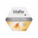 Vitaflor Mega Vital 20 ampollas 10 ml