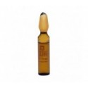 Endocare C Oil Free 30 Ampollas X 2 ml