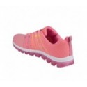 Scholl reflex - F270201048
