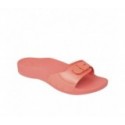 Scholl scholl sun - F252921323
