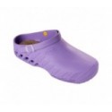 Scholl Clog Evo Lila