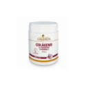 Ana Maria Lajusticia Colageno Magnesio Vitamina C 350gr