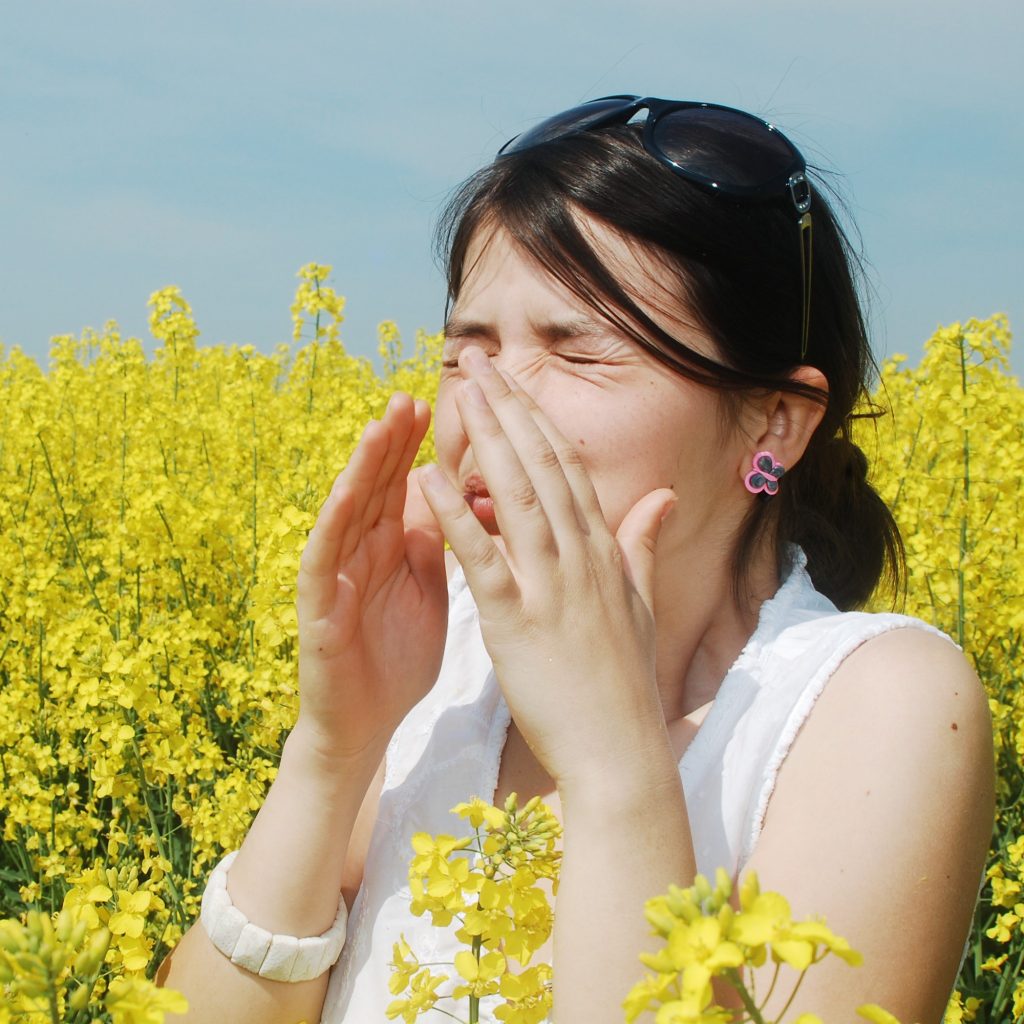 Llegó la primavera: Cómo prevenir y tratar alergias